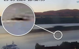 Gặp 'thủy quái' to như xe buýt bơi trên mặt hồ, thợ săn nói: Những gì tôi thấy là độc nhất vô nhị