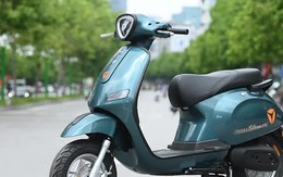 Xe máy điện giá chỉ 16,5 triệu, có smartkey chống trộm, pin chạy 80 km