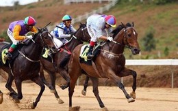 Loạt cổ đông “chung vốn” vào công ty tài sản mã hóa bất ngờ “đua trần” phiên đầu tháng 10