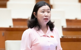 Vụ Vạn Thịnh Phát khối lượng công việc lớn, giám định 3 tháng là 'bất khả thi'