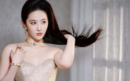 Lưu Diệc Phi chia tay Song Seung Hun vì "ngán tận cổ"