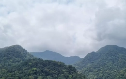 Quảng Trị xử lý thế nào với hơn 14.600 ha rừng bị chồng lấn, lấn chiếm?