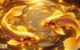 4 con giáp là “cá Koi” của 3 tháng cuối năm: Sự nghiệp thăng tiến vượt bậc, tài sản tăng mạnh, làm gì cũng may