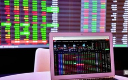 62 mã chứng khoán bị HNX cắt margin trong quý IV/2025