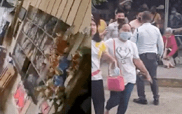 Video: Động đất mạnh 7,4 độ ở Philippines rung chuyển mọi thứ, người dân hoảng loạn bỏ chạy