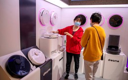 Từng bị coi là "thứ khoe mẽ, bẩn nhà", món đồ này giờ có giá rẻ đến bất ngờ: Người Việt mua ngày càng nhiều