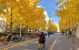 Cảnh tượng ngay lúc này tại Bắc Kinh khiến nhiều người ngỡ ngàng, nhận xét: "Không thể diễn tả nổi!"