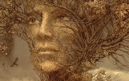 Chặt 3 cây ngoài sân, gỡ 4 vật trong nhà: Vận đổi nhanh như tên lửa, dễ giàu to