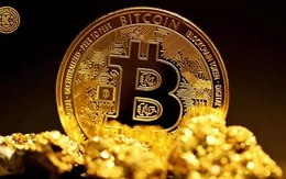 Bitcoin tăng chóng mặt, chuyên gia cảnh báo rủi ro 'tiền ảo vô giá trị'