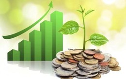 Lịch chốt quyền cổ tức 13/10– 17/10: Cổ tức tiền mặt cao nhất 100%, một "đại gia" chuẩn bị chi gần 6.000 tỷ đồng trả cổ tức