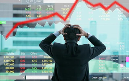 70% nhà đầu tư thắc mắc: Chứng khoán còn rủi ro có “cú sập” như năm 2022?