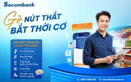 Từ hộ kinh doanh đến doanh nghiệp: đón cơ hội tăng trưởng dài hạn