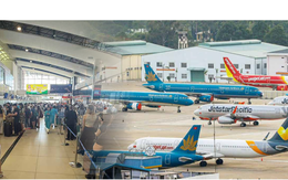 Cuộc đua vé máy bay Tết 2026: Sức ép giá vé và lựa chọn khó khăn