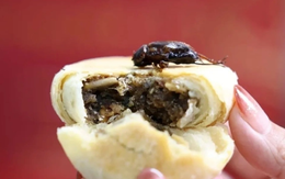 Người Trung Quốc ăn bánh trung thu nhân dế: "Kịch tính trong từng miếng ăn"