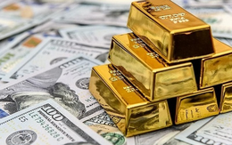 FiinRatings: Thu nhập từ ngoại hối và vàng của các ngân hàng tăng mạnh giai đoạn năm 2024 và nửa đầu 2025