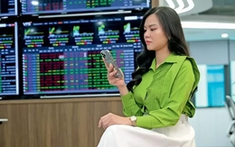 Chứng khoán lập đỉnh lịch sử: 'Sóng' lớn dồn dập sau nâng hạng?