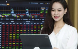 VN-Index vượt đỉnh sau nâng hạng, sao nhiều nhà đầu tư vẫn lỗ?