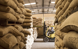 Hàng nghìn tấn hàng của Việt Nam liên tục đổ bộ Campuchia với giá đắt đỏ: xuất khẩu tăng hơn 300%, nước ta là ông trùm lớn thứ 2 thế giới