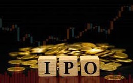 Tân binh sàn chứng khoán Việt Nam 2025: Kẻ tăng giá gấp đôi, người 'hụt hơi' và những gã khổng lồ tỷ đô sắp lộ diện