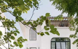 Biệt thự ba tầng đưa cây xanh dẫn lối vào nhà