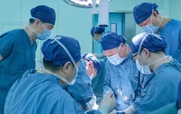 Trung Quốc đạt bước đột phá trong ghép tạng: Gan lợn hoạt động trong cơ thể người