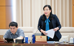 "Hợp đồng bảo hiểm mẫu quá dày và khó hiểu, dẫn đến rủi ro cho người tham gia bảo hiểm"