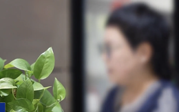 Xuất hiện hình thức lừa đảo mới chưa từng xuất hiện nhắm đến người già: Điện thoại mất quyền kiểm soát, công an gọi 20 cuộc vẫn bất lực