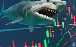 Soi loạt cổ phiếu có thể lọt "tầm ngắm" của các cá mập tổng quy mô 15.000 tỷ ngay trong tháng 10