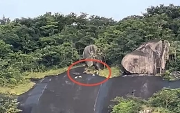 An Giang xác minh thông tin 4 con khỉ trắng xuất hiện ở Hòn Sơn