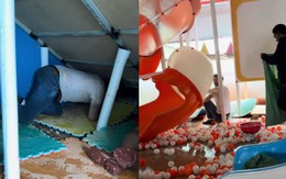 Khách Tây bỏ tiền đến Việt Nam làm gì thế này?