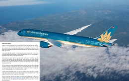 Vietnam Airlines gặp sự cố bảo mật dữ liệu, email khẩn yêu cầu khách hàng làm ngay việc này!