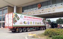 Xuất khẩu Việt Nam lập kỷ lục nhờ một loại quả, Thái Lan tính 'bắt tay': Giấc mơ 10 tỷ USD không còn xa