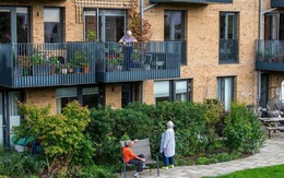 8 người bạn thân góp 4,2 tỷ đồng "xây làng nghỉ hưu, dưỡng già bên tri kỷ", 8 năm sau chia tài sản: Có người trả 80 tỷ đồng