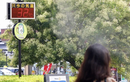 Biến đổi khí hậu khiến mùa hè ở Nhật Bản kéo dài thêm 3 tuần trong 42 năm