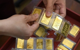 597 lượng vàng thu giữ trong vụ án liên quan Shark Bình trị giá bao nhiêu?