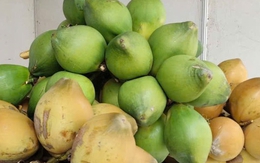 Điều gì khiến giá dừa tươi đột ngột giảm sâu?