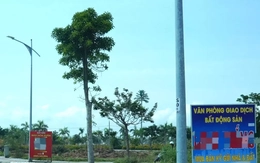 Sau yêu cầu chấn chỉnh, thao túng giá, Đà Nẵng công bố 9 công ty môi giới BĐS