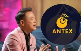 Vụ Shark Bình: AntEx là gì, vì sao nhiều người 'mù quáng' dùng tiền thật mua tiền ảo?