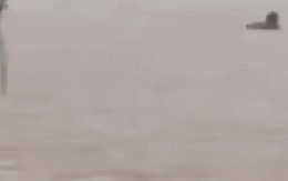 Bám vào bụi cây, bé trai 8 tuổi được cứu sống khỏi dòng nước lũ: Đoạn clip "nghẹt thở"