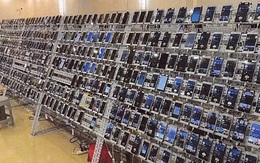 Mỹ: 'Đưa ra ánh sáng' vụ lừa đảo, tịch thu 15 tỷ USD bitcoin lớn nhất lịch sử