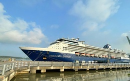 Doanh nghiệp "ngồi trên lửa" khi cảng ở TP HCM ngưng đón khách du lịch tàu biển