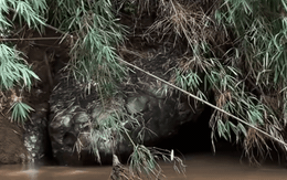 Dòng sông yên ả bỗng dậy sóng vì 'rắn khổng lồ', người dân bàn tán khiến phóng viên đến tận nơi xác minh