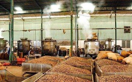 'Sản vật trời ban' giúp Việt Nam xuất khẩu bỏ xa thế giới: Được người Trung Quốc thừa nhận 'ăn đứt' hàng nội, thu về hàng tỷ USD từ đầu năm