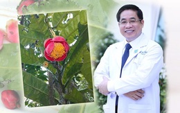 "Kho báu" mới được phát hiện tại Gia Lai mang tên của một vị bác sĩ nổi tiếng, đó là ai?