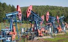 Đang nhập hơn 50 triệu thùng/tháng, khách sộp của Moscow chuẩn bị giảm mua dầu Nga, tăng mua từ Mỹ