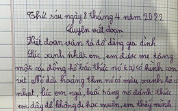 Bài văn tả chiếc đồng hồ của học sinh tiểu học khiến dân mạng bái phục