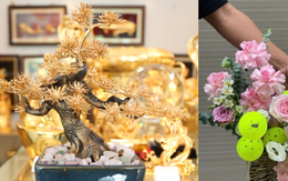 Quà 20/10 độc lạ: Tùng bonsai mạ vàng đắt đỏ, hoa Pickleball lần đầu xuất hiện