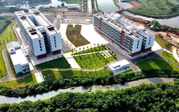 Bắt đầu sáp nhập các trường công lập