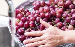Dùng muối và baking soda rửa nho là sai, đây mới là cách đúng khiến trứng côn trùng cũng phải tự động "trượt đi"