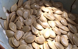 Loại hạt giá rẻ chứa dưỡng chất hơn cả quả óc chó thường bị bỏ quên
